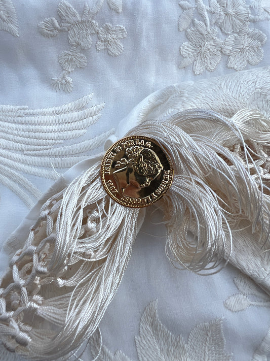 ANILLO PARA MANTONCILLO MONEDA